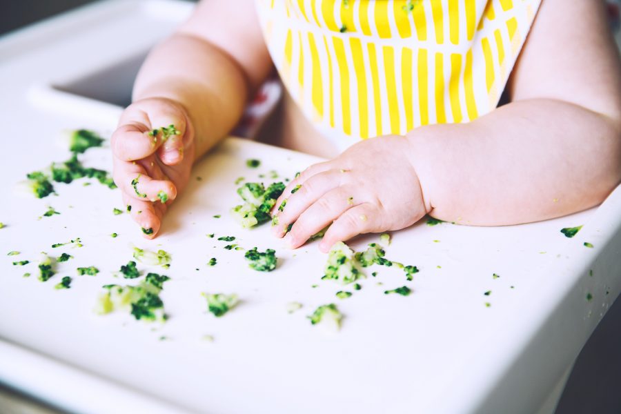 baby-food-starting-solids